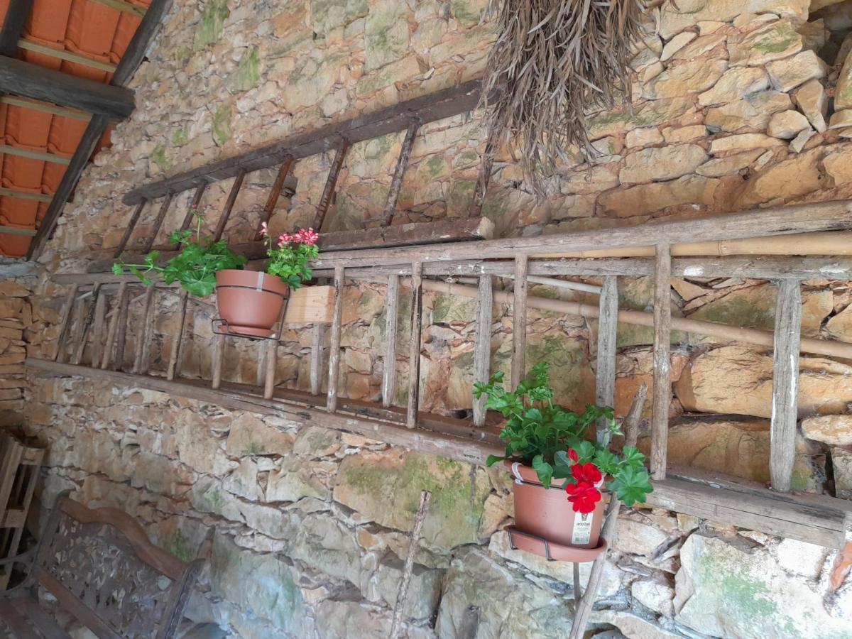 Casa Dos Terranhos Villa Tomar Ngoại thất bức ảnh